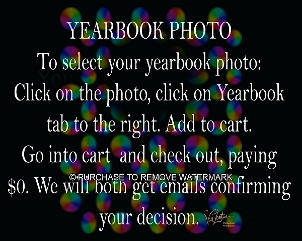 7-24-26 AHS Seniors
